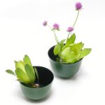 &#70;&#108;&#111;&#119;&#101;&#114;&#32;&#67;&#117;&#112;