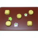 &#79;&#109;&#111;&#116;&#101;&#110;&#97;&#115;&#104;&#105;&#45;&#84;&#114;&#97;&#121;
